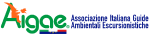 Logo AIGAE